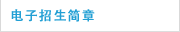 电子招生简章