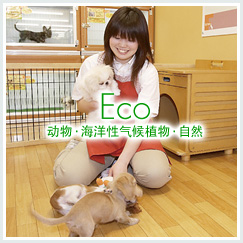 动物·海洋性气候植物·自然