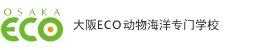 大阪交流艺术专业学院