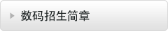数码招生简章