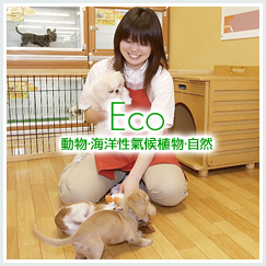 動物·海洋性氣候植物·自然