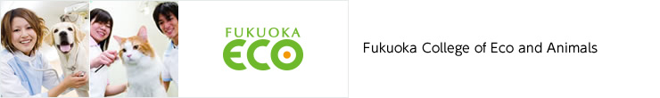 Fukuoka Eco-Communication