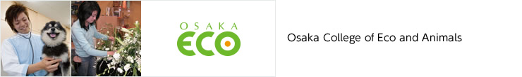 Osaka School of Music