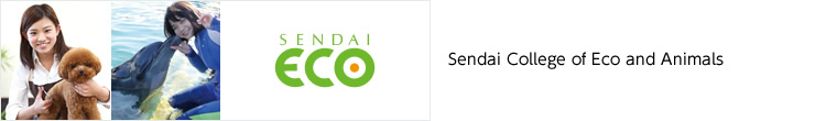 Sendai College of Medical Health