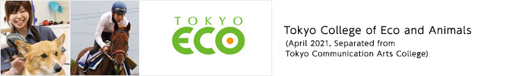 Tokyo Communication Arts (TCA Eco)