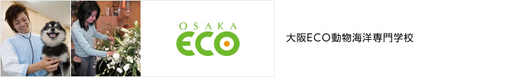 大阪コミュニケーションアート専門学校／エコ・コミュニケーション
