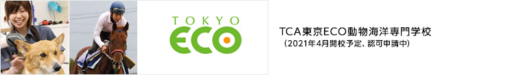 東京コミュニケーションアート専門学校／TCA eco
