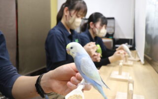 🐣企業プロジェクト🐤